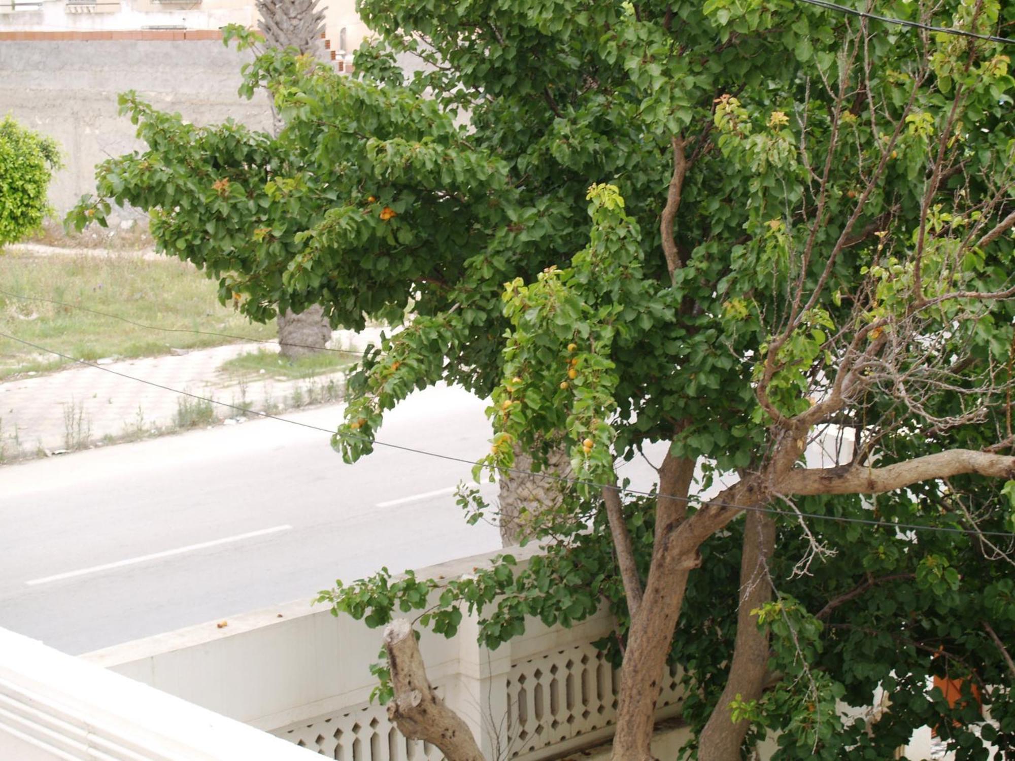 Dar El Amen Appartements Αλ Μαντίγια Δωμάτιο φωτογραφία